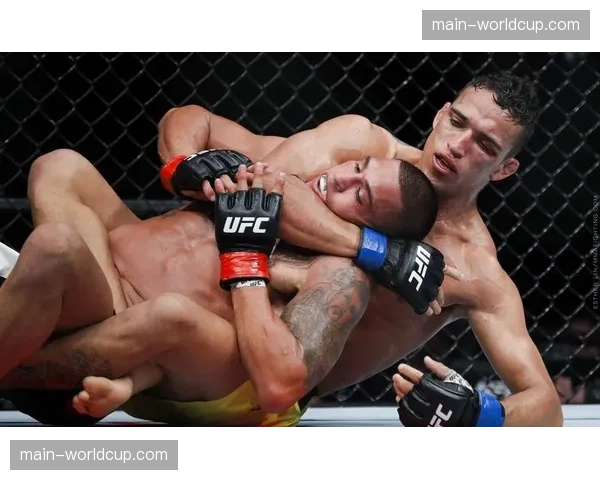 战术解析：奥利维拉如何在下位布置降服技