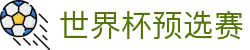 世界杯预选赛 - 2026世界杯足球赛事直播平台
